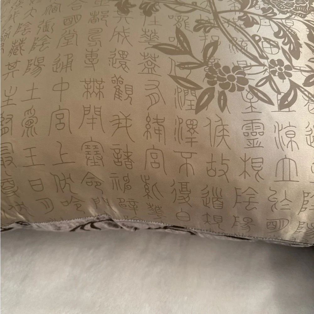Vintage Pier 1 Imports 100% Silk & Burnout Velvet Pillow